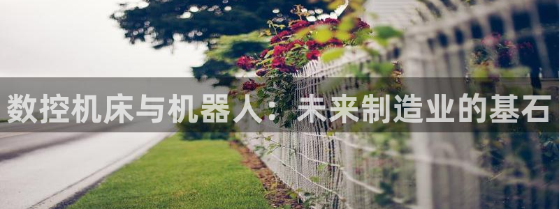 天辰娱乐线路