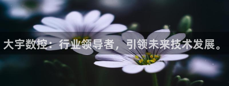 天辰娱乐代理