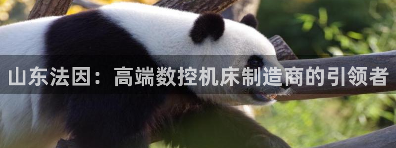 天辰娱乐下载链接