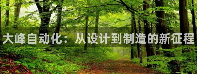 天辰app娱乐：大峰自动化：从设计到制造的新征程