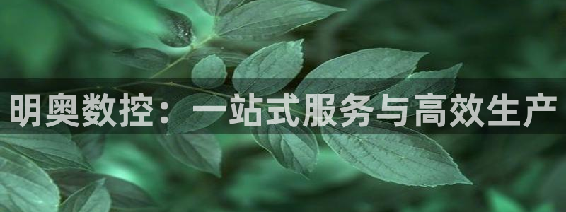 天辰娱乐平台登录账号