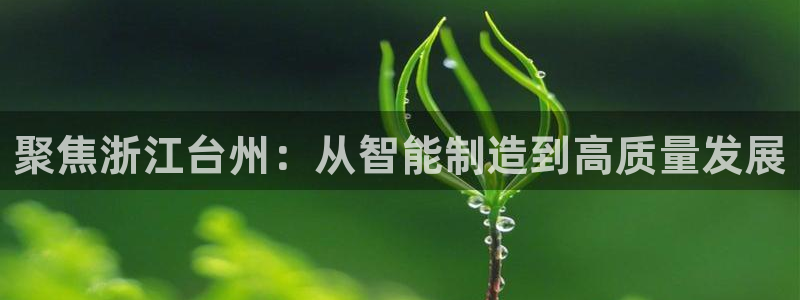 天辰娱乐登录网址
