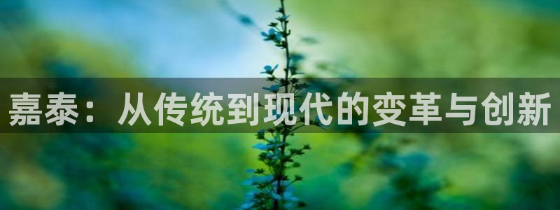 天辰娱乐十分彩