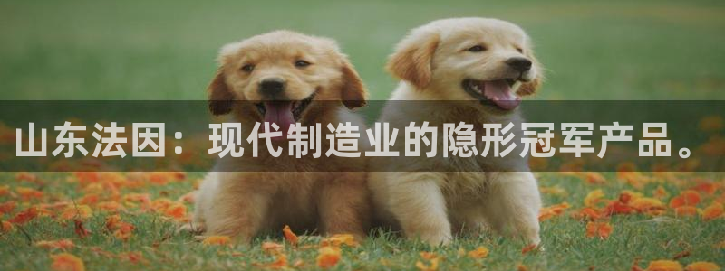 娱乐ktv天辰：山东法因：现代制造业的隐形冠军产品。