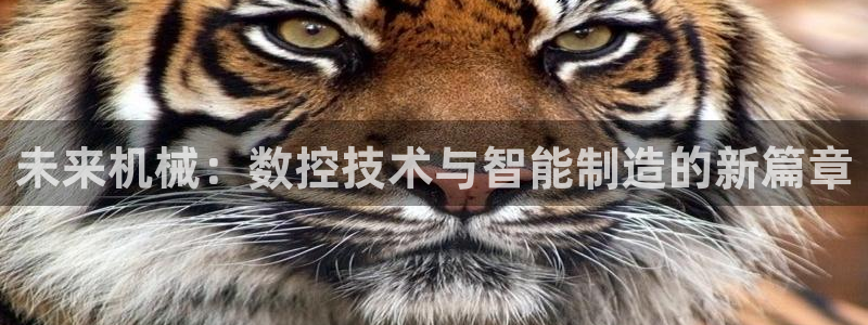天辰娱乐怎么样