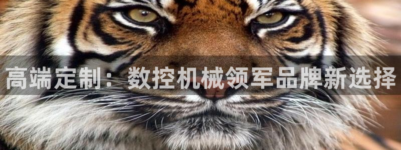 天辰娱乐登录测试