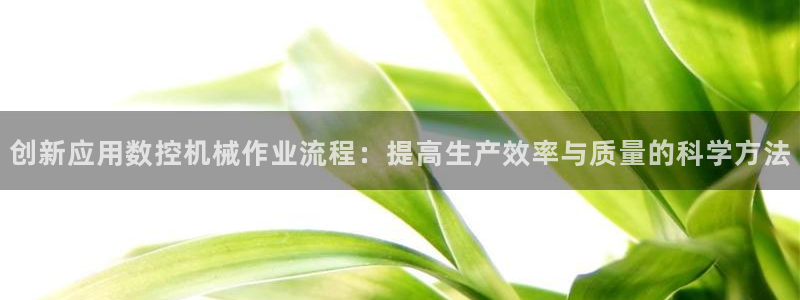 天辰娱乐白屏