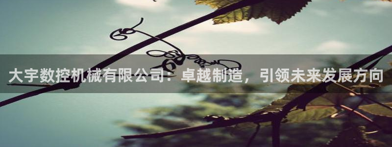 天辰娱乐视频：大宇数控机械有限公司：卓越制造，引领未来发展方向