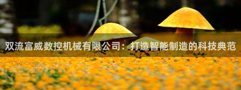 大同天辰娱乐：双流富威数控机械有限公司：打造智能制造的科技典范