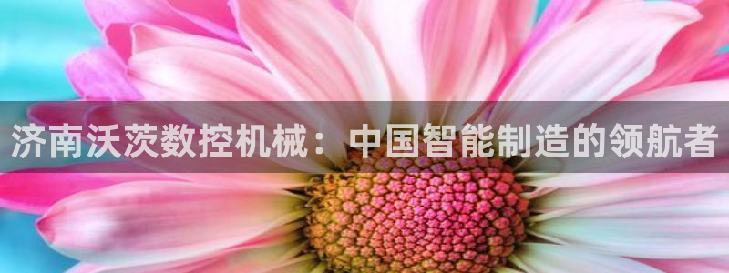 天辰彩票娱乐：济南沃茨数控机械：中国智能制造的领航者