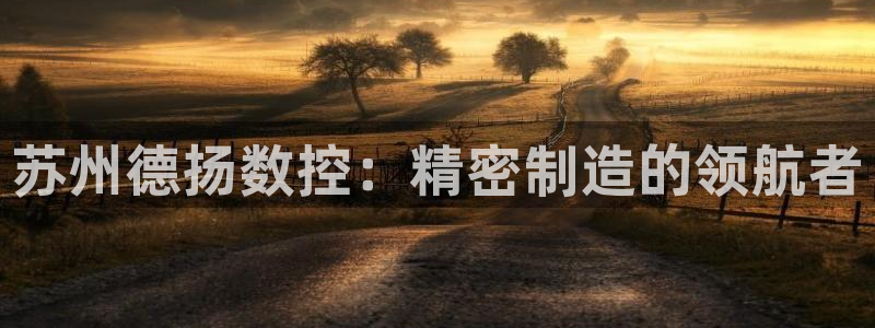 天辰娱乐平台登录账号：苏州德扬数控：精密制造的领航者