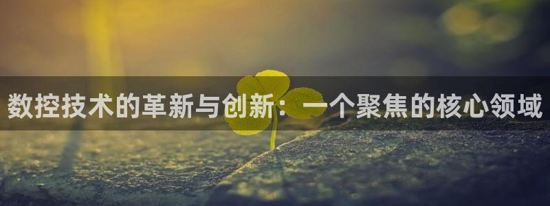 天辰娱乐网址娱乐游戏