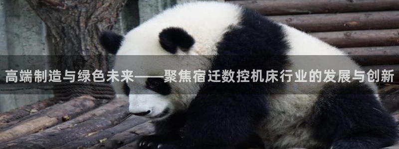 天辰天富娱乐登录:高端制造与绿色未来——聚焦宿迁数控机床行业的发展与创新