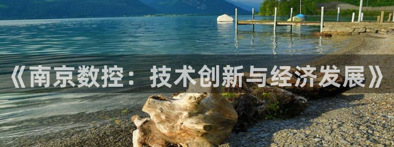 天辰(娱乐注册:《南京数控:技术创新与经济发展》